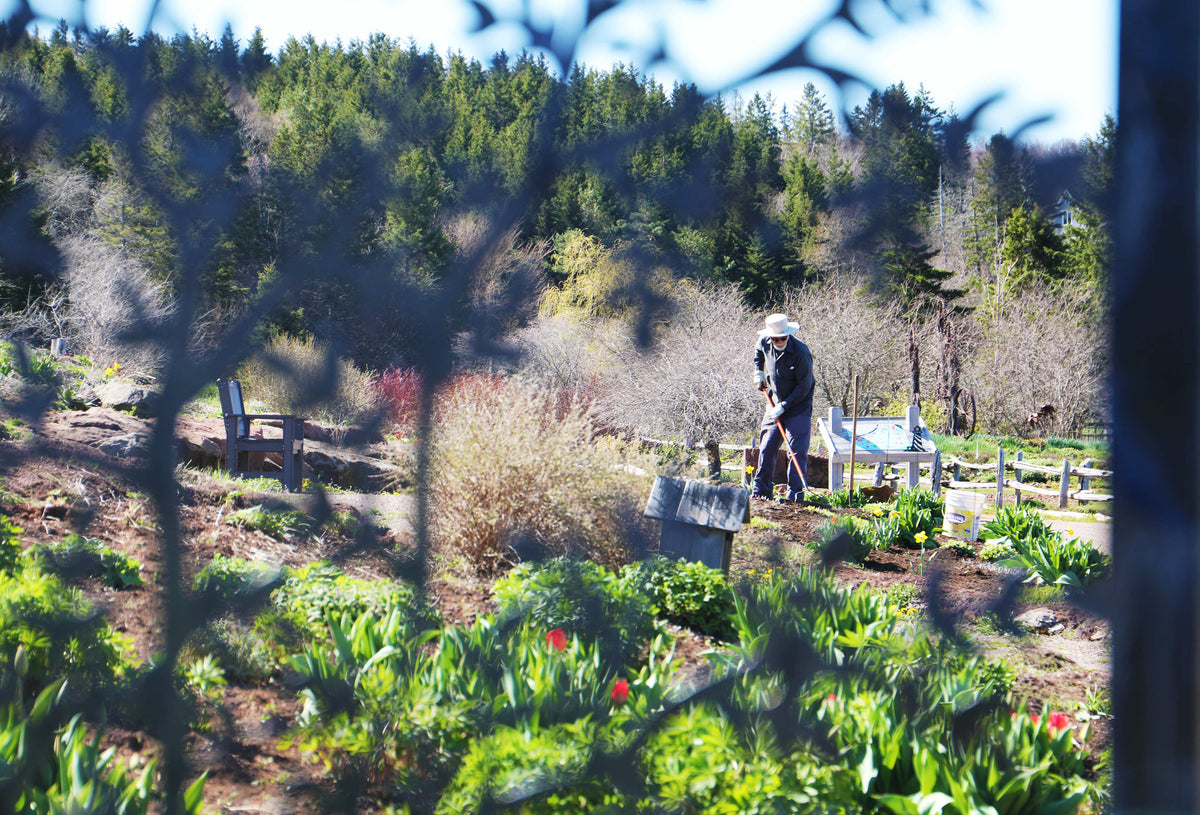 May in the Gardens of Hope