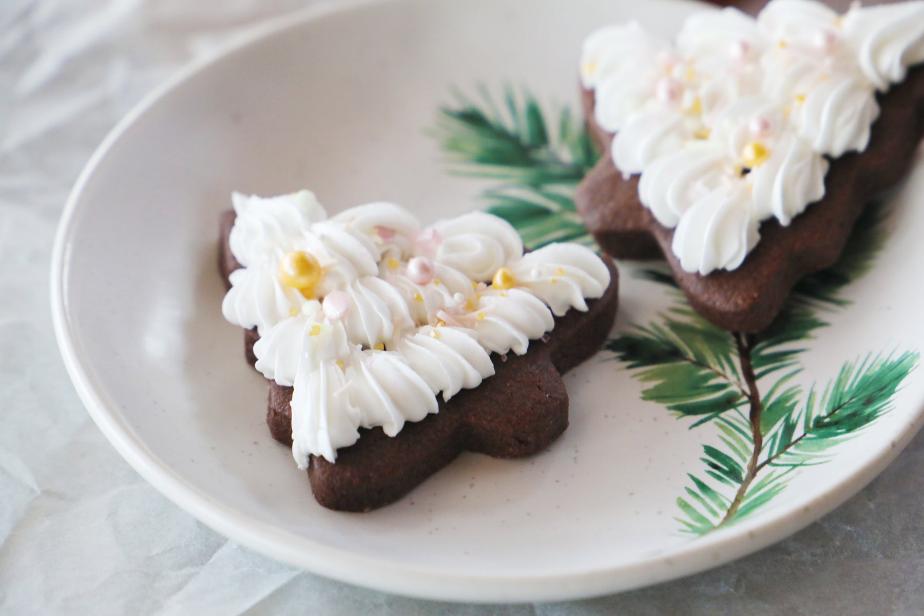 Hot Chocolate Cut-out Cookies