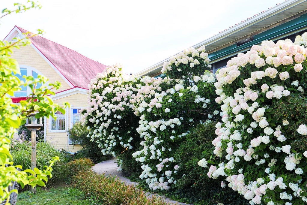 September Stroll in the Gardens of Hope