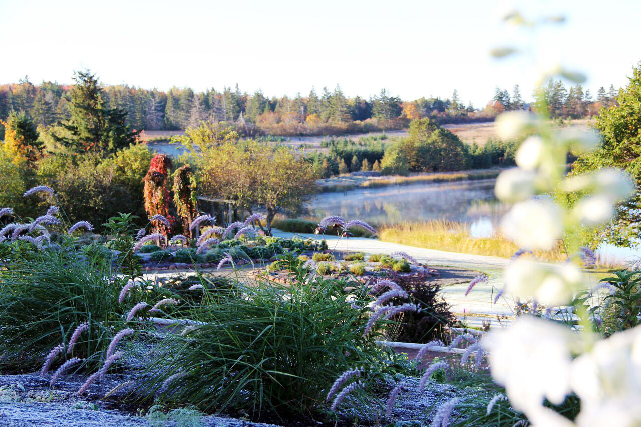 Kissed by Frost + In the Heavens + Playing Golf with a Nun