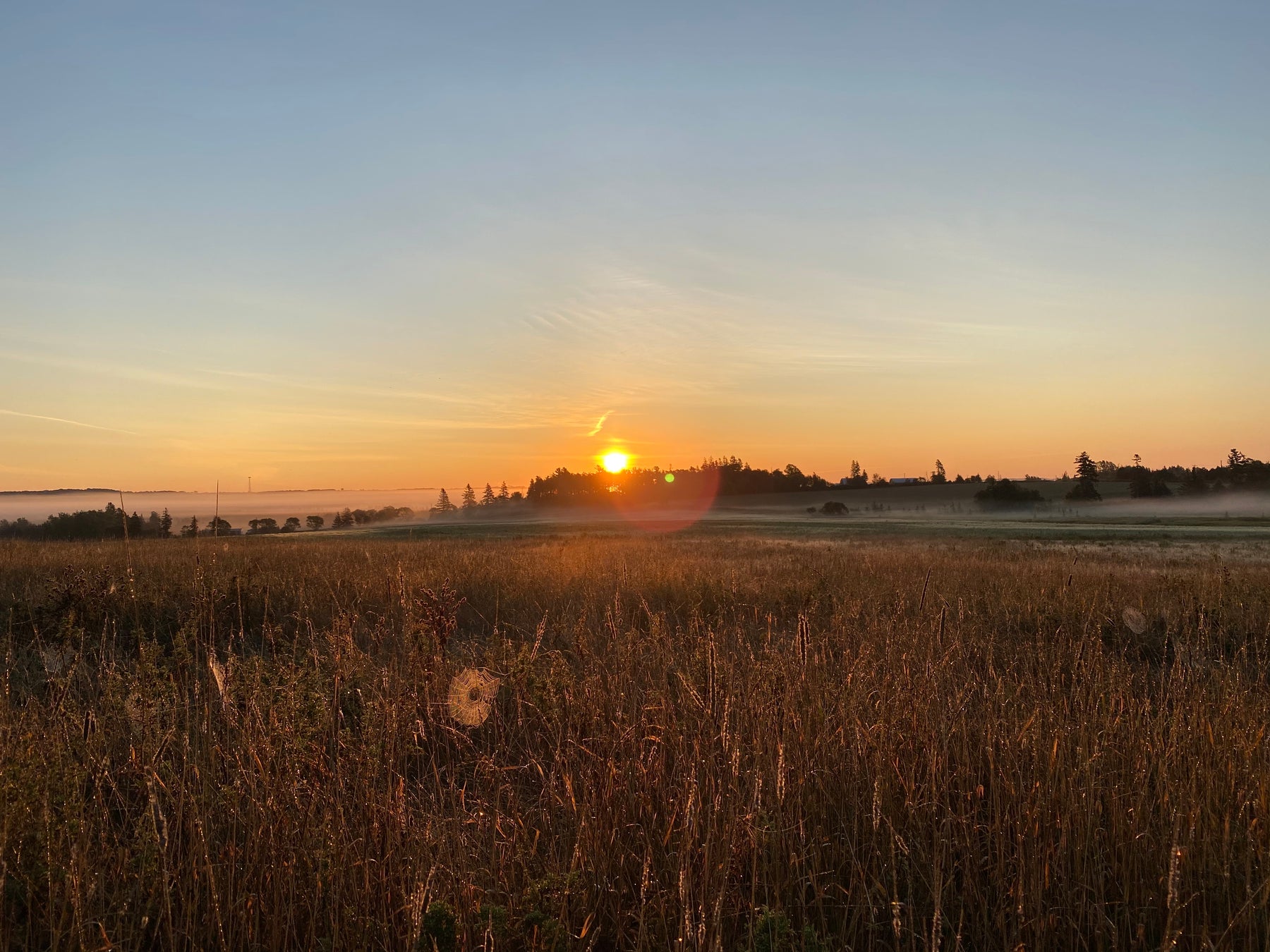 Great News, Nature is a Gift, and Baring it All in a Window