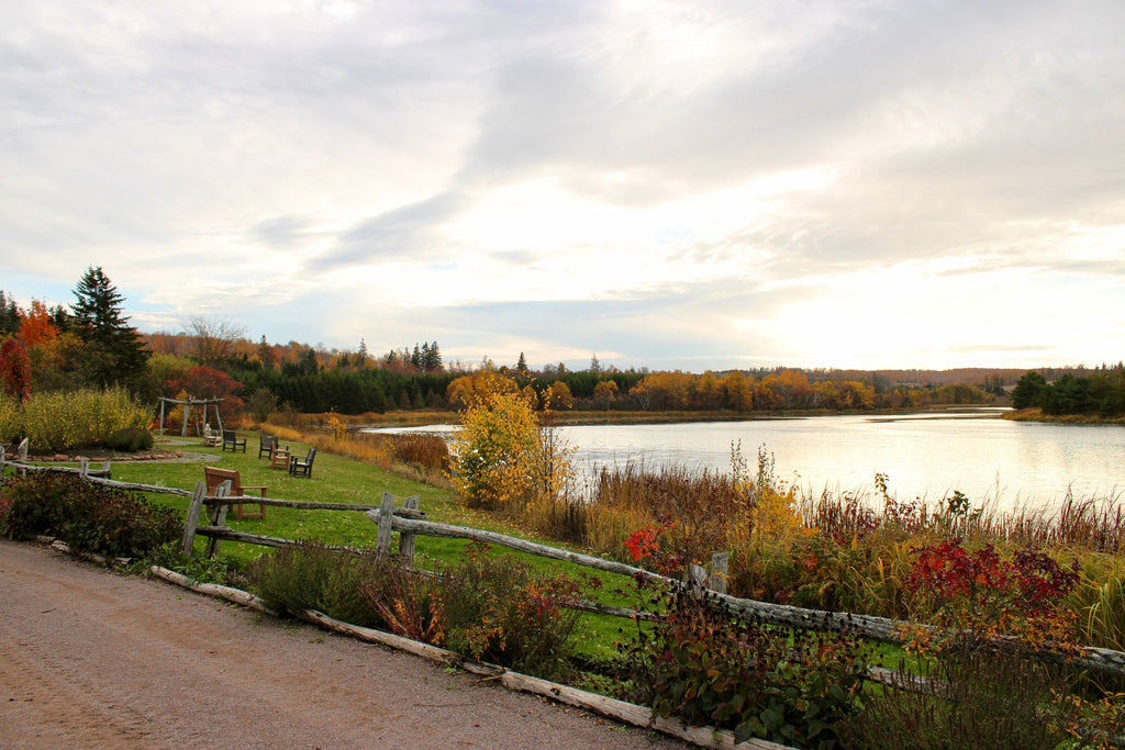 Living On PEI: November's Grey Beauty