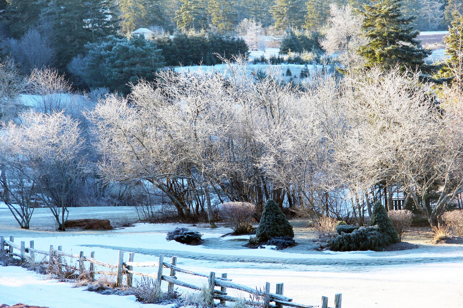 A Winter's Walk