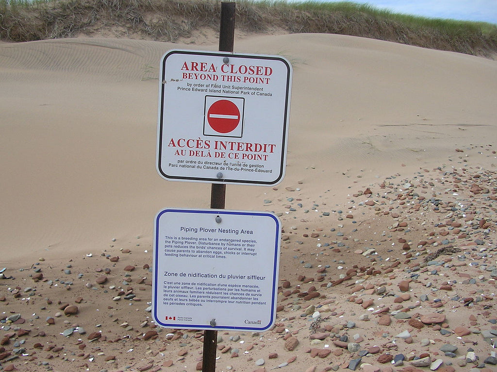 Beach Clean-Up! (not now)