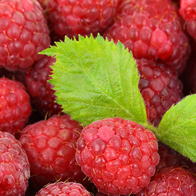 Raspberries & Tea Week 30 on Prince Edward Island!