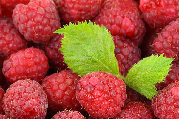 Raspberries & Tea Week 30 on Prince Edward Island!