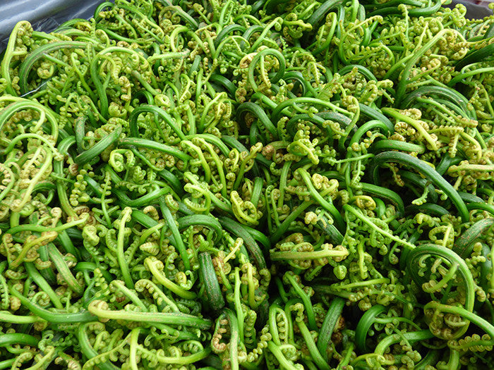 Ode to Fiddleheads