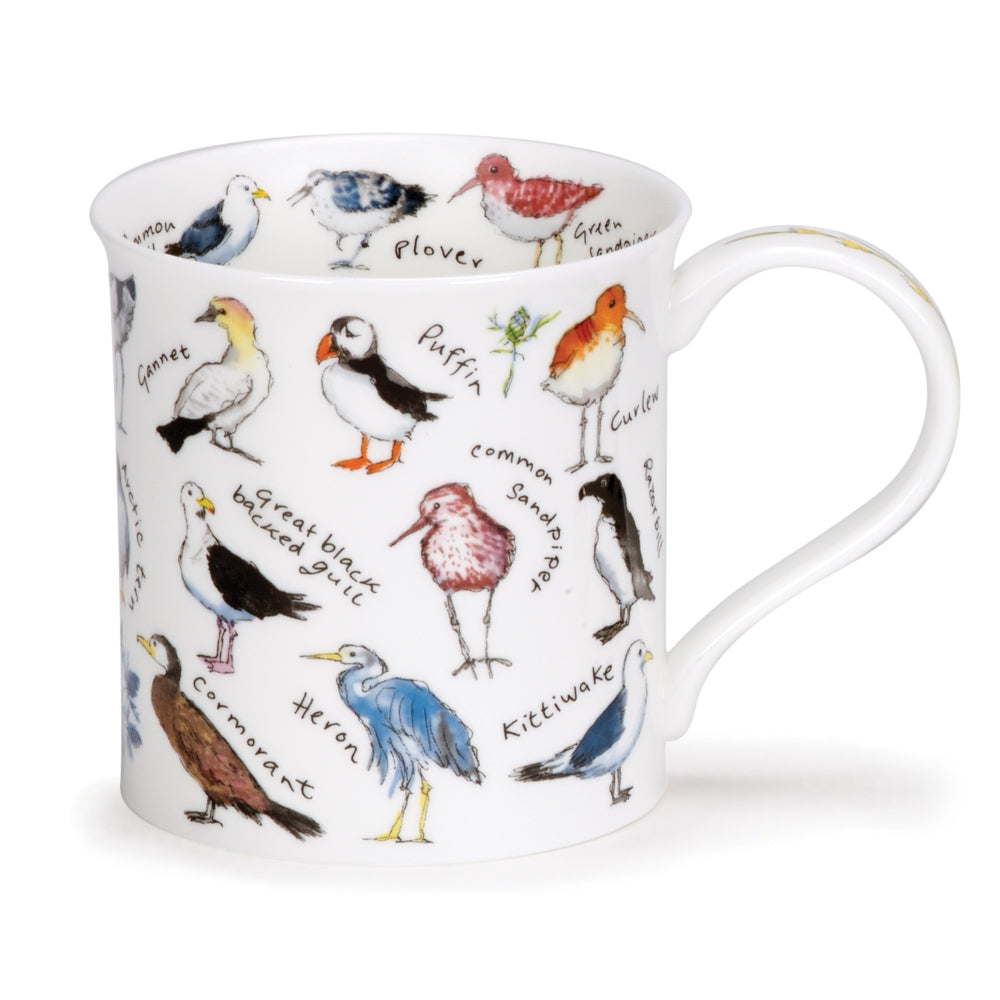 Dunoon Mug, Bute, Birdlife, Coastal Birds