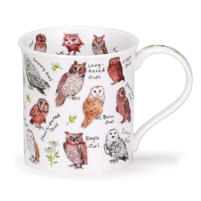 Dunoon Mug, Bute, Birdlife, Owls