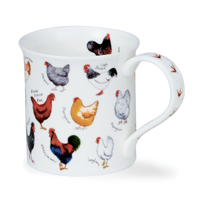 Dunoon Mug, Bute, Animal Breeds, Chicken 