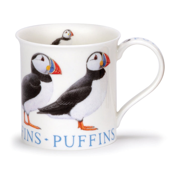 Bute, Puffins by Dunoon