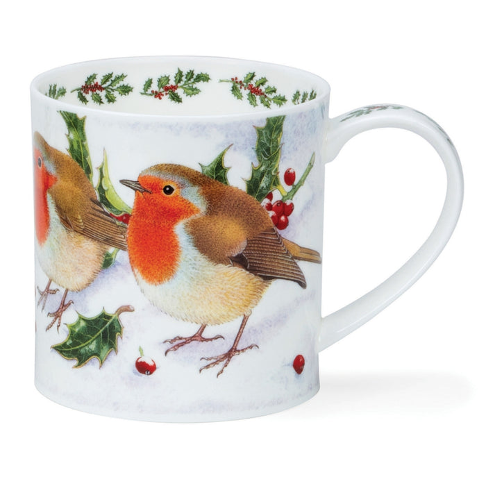 Orkney, Festive Birds, Robin by Dunoon